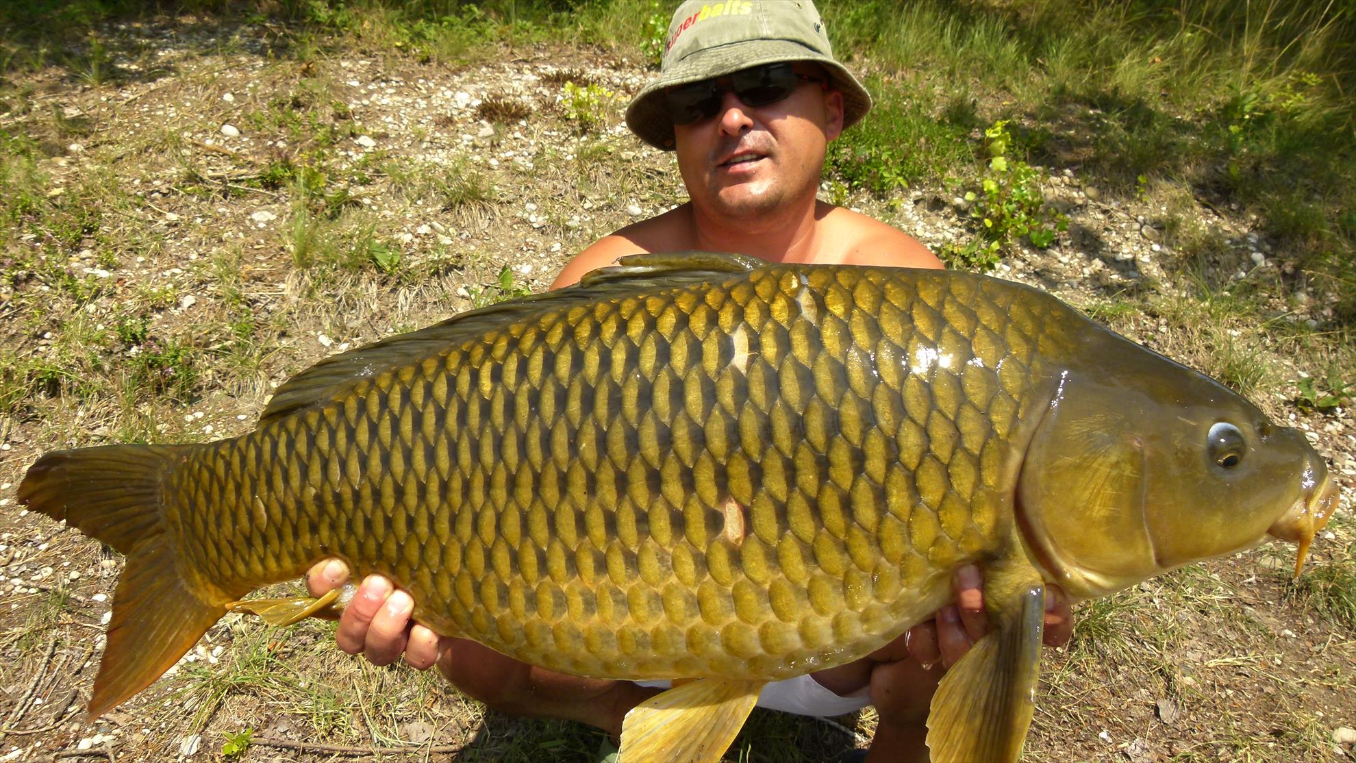 regiune Rhône-Alpes 22 - 22 iul. - 10.JPG